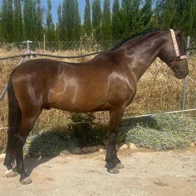 0155ef24-8b13-4392-a1be-0acda7489f14